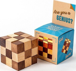 RECENTTOYS Are you a Genius - neuveden