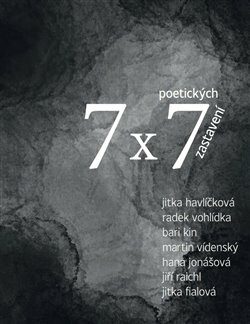 7 x 7 poetických zastavení - Martin Videnský,Jiří Raichl,Fialová Jitka,Jitka Havlíčková,Hana  Jonášová,Bari Kin,Radek Vohlídka