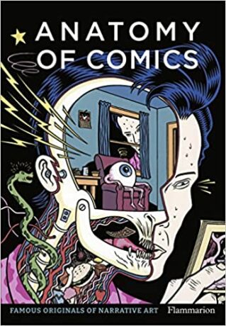 Anatomy of Comics: Famous Originals of Narrative Art - Damien MacDonald