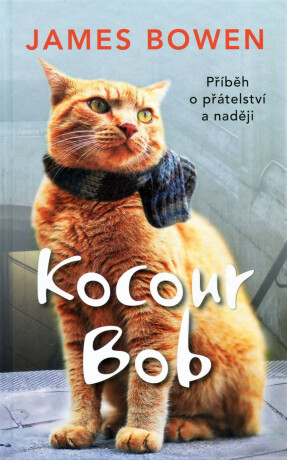 Kocour Bob - James Bowen