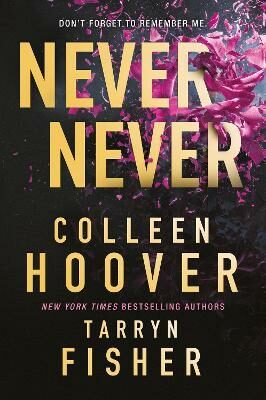 Never Never - Colleen Hooverová,Tarryn Fisherová