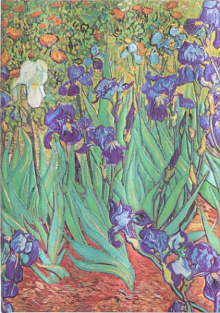Zápisník Paperblanks - Van Gogh’s Irises - Midi nelinkovaný - 