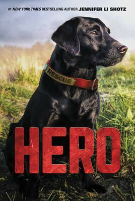 Hero - Jennifer Li Shotz