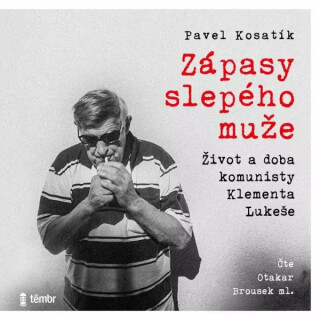Zápasy slepého muže - Pavel Kosatík