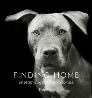 Finding Home: Shelter Dogs and Their Stories - Scott Traer