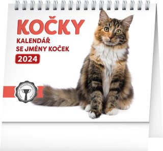 Kočky se jmény koček 2024 - stolní kalendář - neuveden
