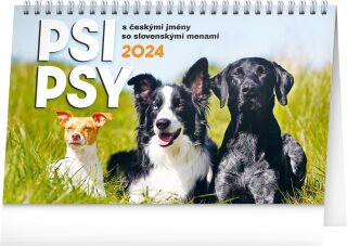 Stolní kalendář Psi - Psy CZ/SK 2024 - neuveden