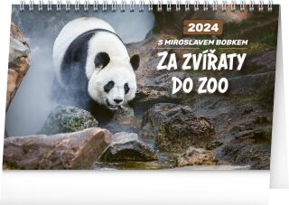 Stolní kalendář Za zvířaty do zoo - Miroslav Bobek 2024 - neuveden