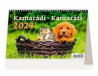 Kamarádi/Kamaráti - stolní kalendář 2024 - neuveden
