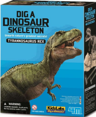 4M Dinosauří kostra - REX (603221) - 