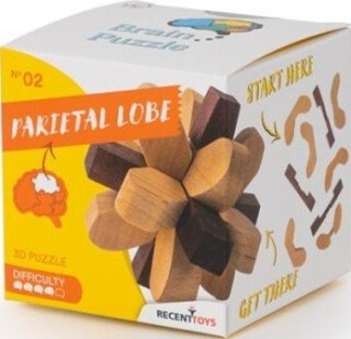 RECENTTOYS Brain Puzzle 2 - temenní lalok - neuveden