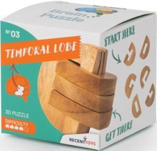 RECENTTOYS Brain Puzzle 3 - spánkový lalok - neuveden