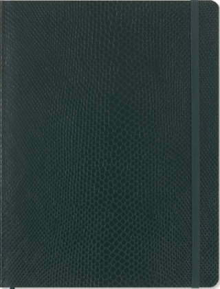 Moleskine Precious & Ethical Vegea Zápisník zelený XL, linkovaný, v dárkové krabici - neuveden