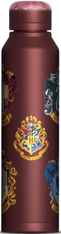 Harry Potter Láhev nerezová slim 550 ml - 