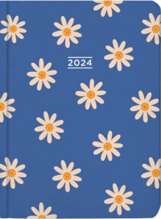 ALBI Diář B6 týdenní - 