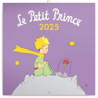 Kalendář 2025 poznámkový: Malý princ, 30 × 30 cm - 
