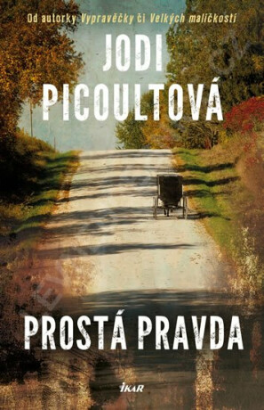 Prostá pravda - Jodi Picoultová