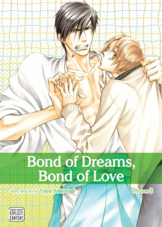Bond of Dreams, Bond of Love, Vol. 3 - Yaya Sakuragi