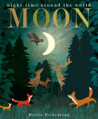 Moon - Britta Teckentrup,Hegarty Patricia