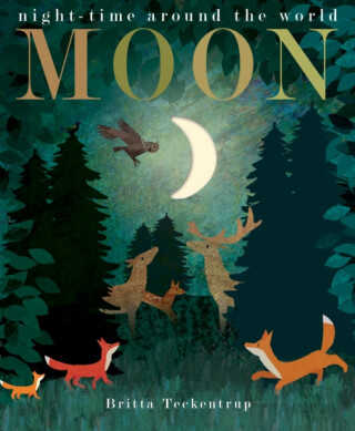 Moon - Britta Teckentrup,Hegarty Patricia