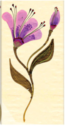 Zápisník Paperblanks - Serpentine Blossom - Slim linkovaný - 
