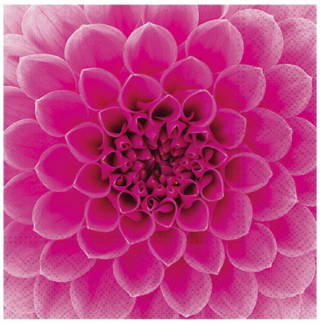 Ubrousek P 33x33 celorok SDL896013 - 