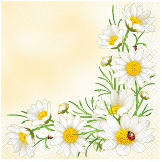 Ubrousek P 33x33 celorok TL315000 - 