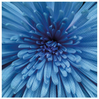 Ubrousek P 33x33 celorok SDL897005 - 