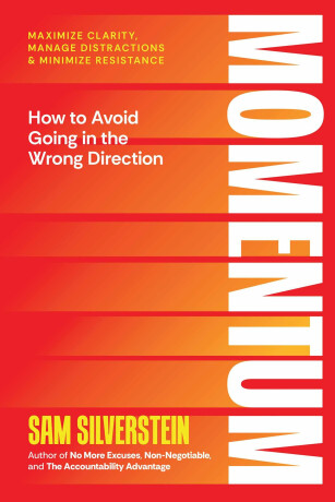 Momentum - Silverstein Sam