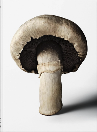 The Gourmands Mushroom. A Collection of Stories & Recipes - 