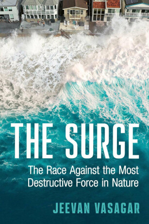 The Surge - Jeevan Vasagar