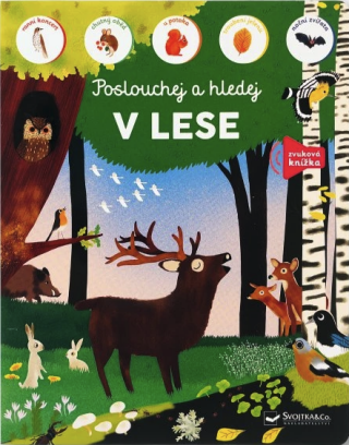 V lese - poslouchej a hledej - 