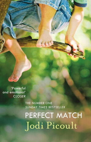 Perfect Match - Jodi Picoultová