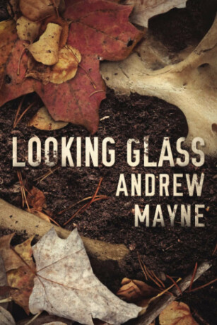 Looking Glass - Andrew Mayne
