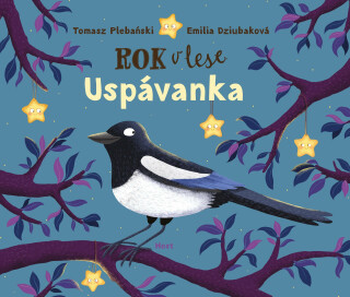 Rok v lese: Uspávanka - Tomasz Plebański