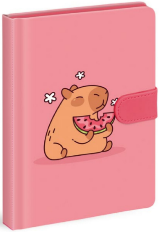 Blok s magnetem 13x19cm,120listů - 