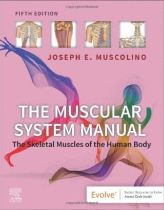 The Muscular System Manual - Joseph E.  Muscolino