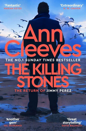 Killing Stones - Ann Cleevesová