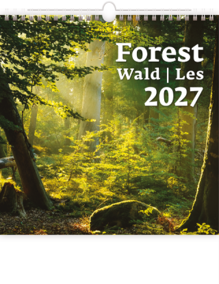 Kalendář nástěnný 2027 - Forest/Wald/Les - 