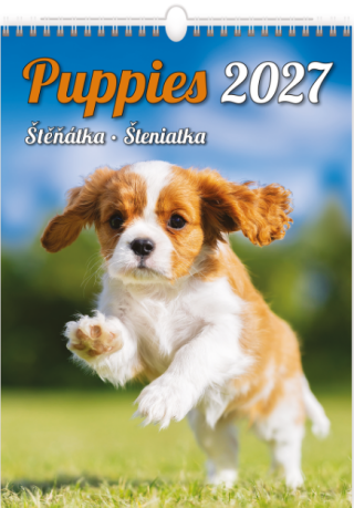 Kalendář nástěnný 2027 - Puppies/Štěňátka/Šteniatka - 
