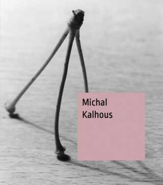 Michal Kalhous - Štěpánka Bieleszová
