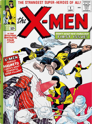 Marvel Comics Library : X-Men. 1963–1966 - Fabian Nicieza