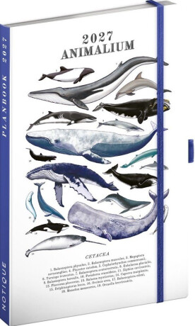 Planbook diář/ Pod mořem  2027, 13 x 21 cm - 
