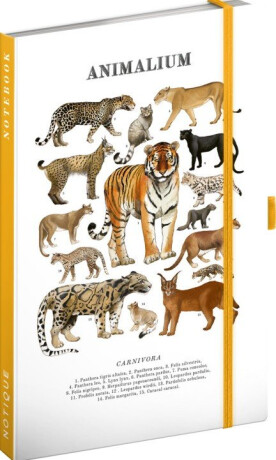Animalium – Kočkovité šelmy, linkovaný, 13 x 21 cm - 