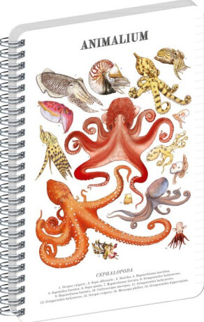 Spirálový blok Animalium – Hlavonožci, linkovaný, A4 - 