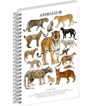 Spirálový blok Animalium – Kočkovité šelmy, čtverečkovaný, A4 - 