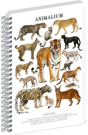 Spirálový blok Animalium – Kočkovité šelmy, čtverečkovaný, A5 - 
