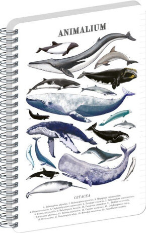 Spirálový blok Animalium – Pod mořem, linkovaný, A4 - 