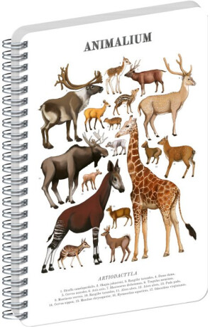Spirálový blok Animalium – Sudokopytníci - 