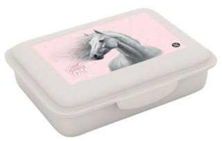 Box na svačinu s přihrádkou, kůň romatic - 